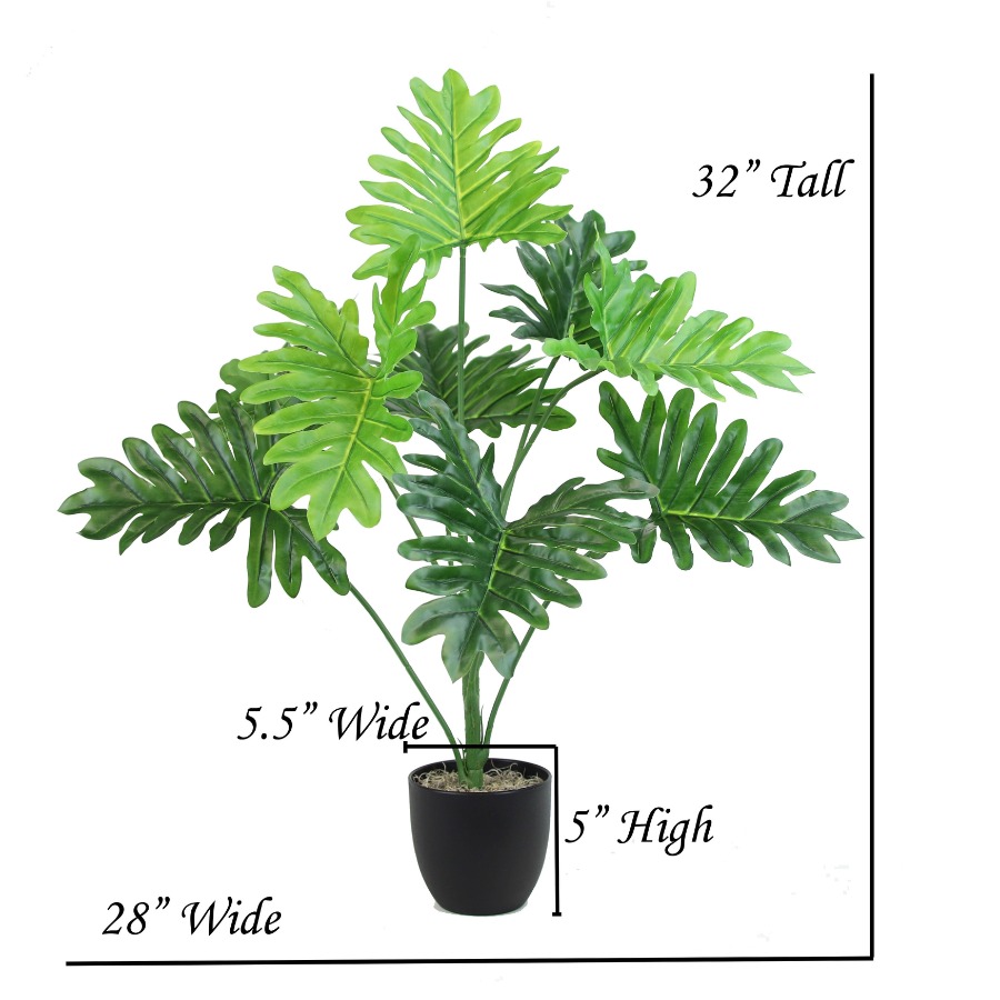 The Mod Greenhouse 32