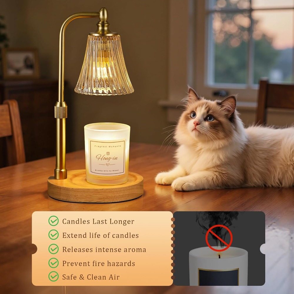 Candle Warmer Lamp with Timer  - Home Decor Product 评论和价格